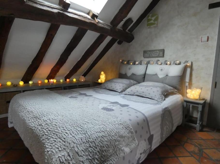 Maison De Charme Pres De Beauval Saint-Cyran-du-Jambot Bagian luar foto